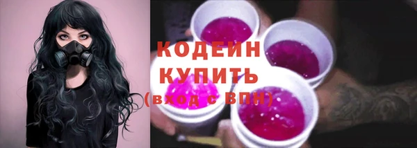 соль ск Белокуриха