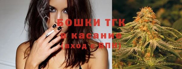 соль ск Белокуриха